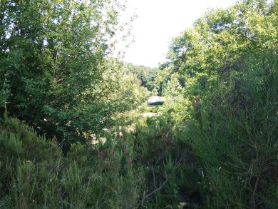 A lush green park with trees providing shade and a peaceful environment for visitors